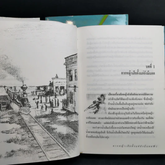 ชุดบ้านน้อย 2 Boxset - ลอร่า อิงกัลส์ ไวล์เดอร์ รูปที่ 17