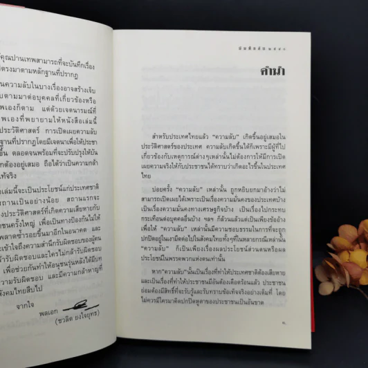 บันทึกลับ 2540 ความจริงที่ถูกปกปิดมาเป็นเวลานาน รูปที่ 9