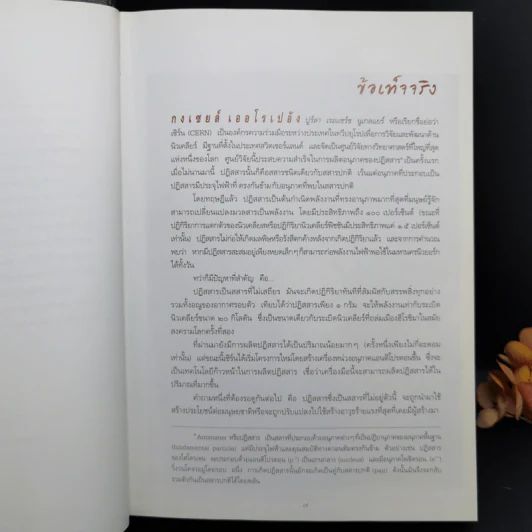 Angels & Demons เทวากับซาตาน (ปกแข็ง) - แดน บราวน์ รูปที่ 11