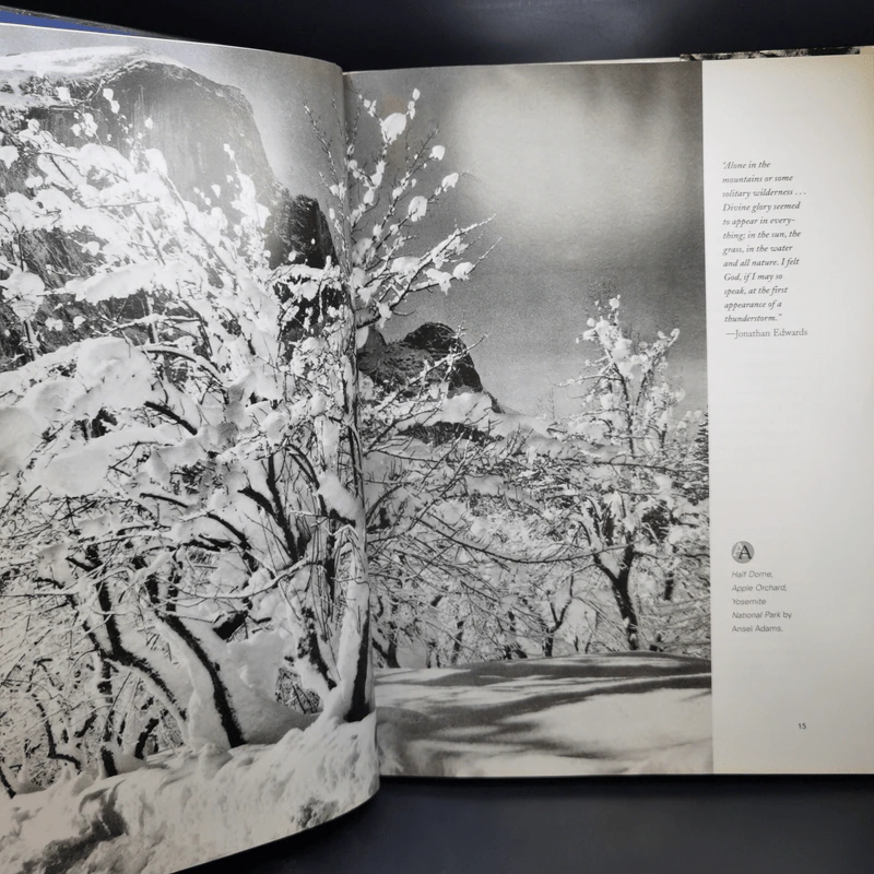 Master of Light - Therese Lichtenstein รูปที่ 10