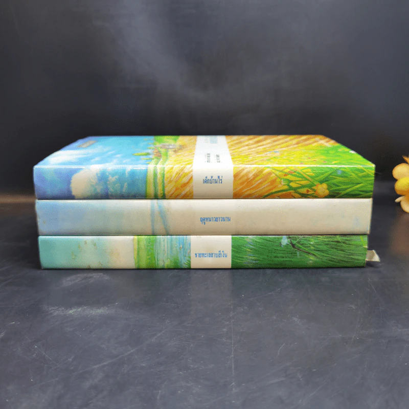 ชุดบ้านน้อย 2 Boxset - ลอร่า อิงกัลส์ ไวล์เดอร์ รูปที่ 3