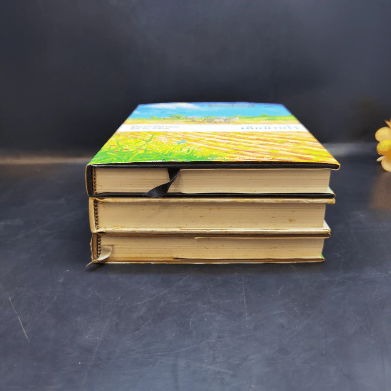 ชุดบ้านน้อย 2 Boxset - ลอร่า อิงกัลส์ ไวล์เดอร์ รูปที่ 4