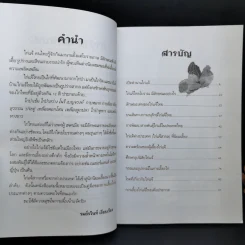 ไก่แจ้ Bantams - รมย์รวินท์ รูปที่ 9
