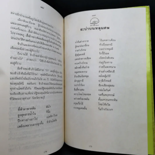 รำฤกถึงนายผี จากป้าลม รูปที่ 12