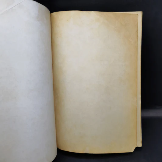 คำตัดสินใหม่ กรณีสวรรคต ร.8 - คำพิพากษาศาลแพ่ง รูปที่ 8