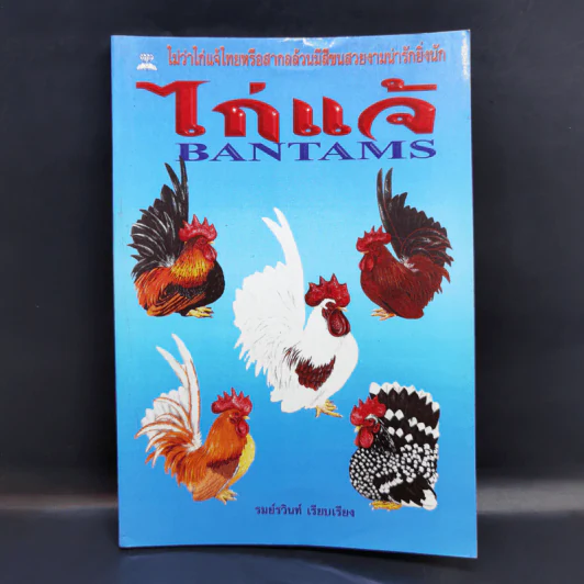 ไก่แจ้ Bantams - รมย์รวินท์ รูปที่ 1