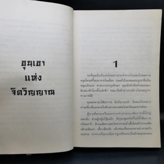 ขุนเขาแห่งจิตวิญญาณ - เกาสิงเจี้ยน รูปที่ 10