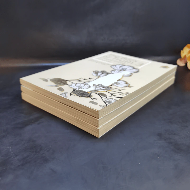 The Book of Truth บทสนทนาว่าด้วยความรัก เล่ม 1-3 - แม่ชีศันสนีย์ เสถียรสุต รูปที่ 6