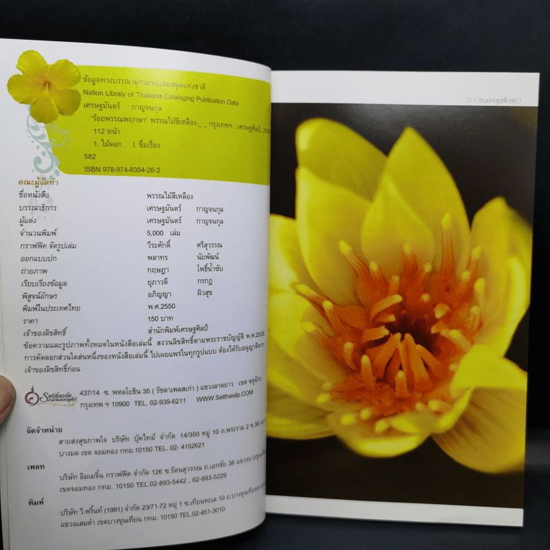 ร้อยพรรณพฤกษา พรรณไม้สีเหลือง - เศรษฐมันตร์ กาญจนกุล รูปที่ 8
