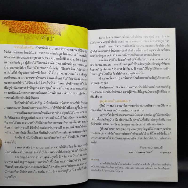 ร้อยพรรณพฤกษา พรรณไม้สีเหลือง - เศรษฐมันตร์ กาญจนกุล รูปที่ 10