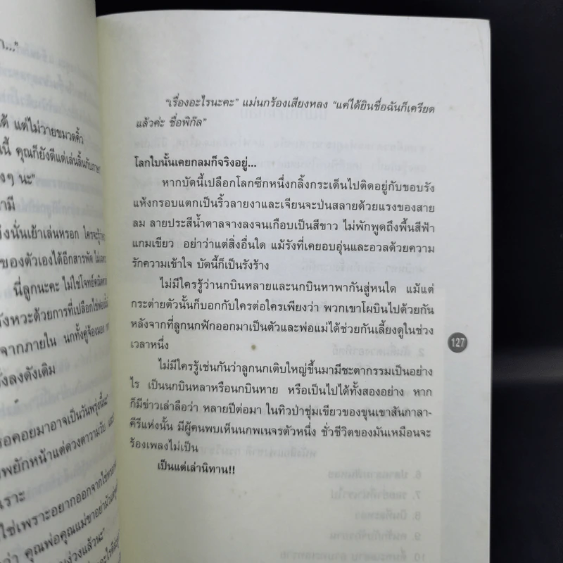 เจ้าหงิญ - บินหลา สันกาลาคีรี รูปที่ 13