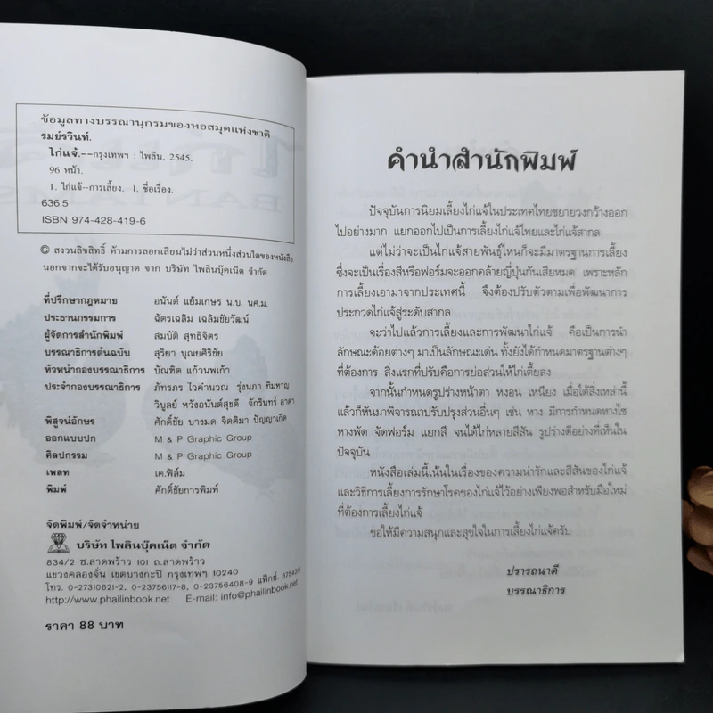 ไก่แจ้ Bantams - รมย์รวินท์ รูปที่ 8