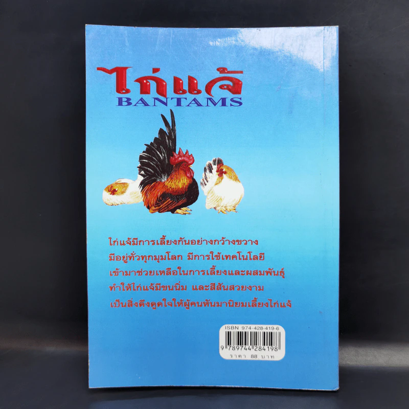 ไก่แจ้ Bantams - รมย์รวินท์ รูปที่ 2