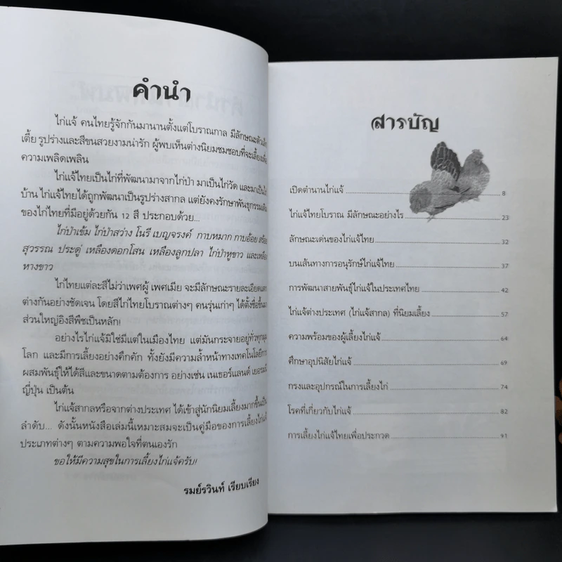 ไก่แจ้ Bantams - รมย์รวินท์ รูปที่ 9