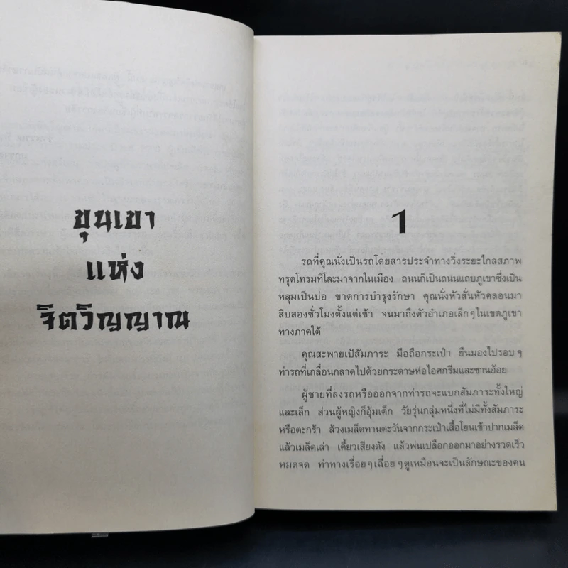 ขุนเขาแห่งจิตวิญญาณ - เกาสิงเจี้ยน รูปที่ 10