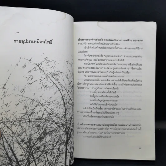 เส้นทางสาย Zen จากปรมาจารย์ตั๊กม้อ ถึง เว่ยหล่าง - เสถียร จันทิมาธร รูปที่ 13