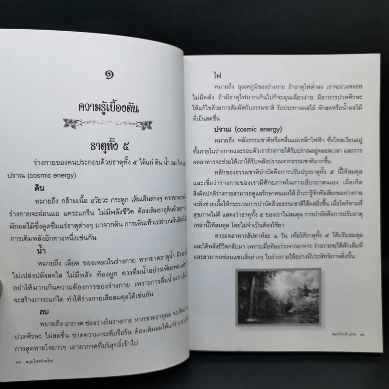 สมุนไพรต้านโรค อนุสรณ์งานพระราชทานเพลิงศพ ภก.อ.จุไรรัตน์ อุไรพันธุ์ จ.ภ. รูปที่ 11