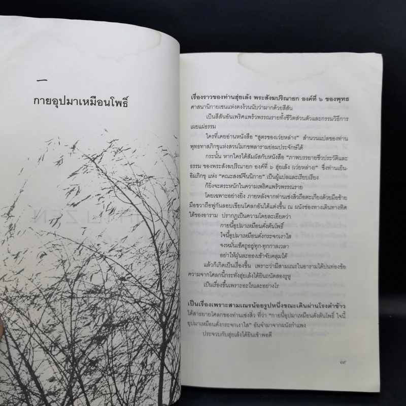 เส้นทางสาย Zen จากปรมาจารย์ตั๊กม้อ ถึง เว่ยหล่าง - เสถียร จันทิมาธร รูปที่ 13