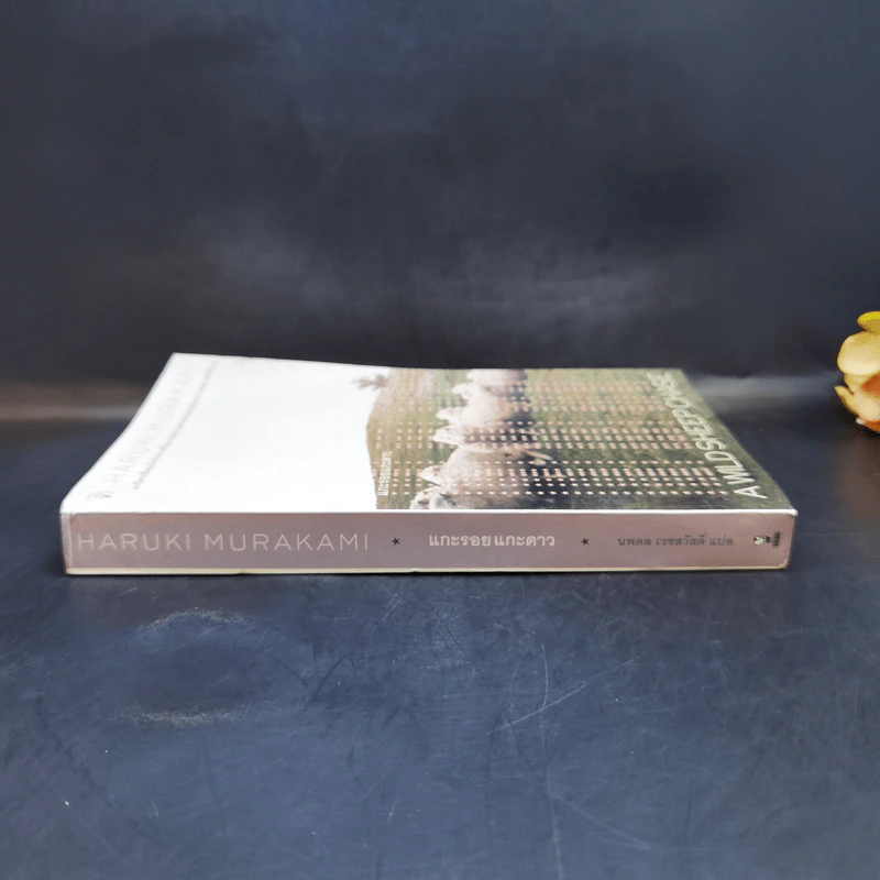 แกะรอยแกะดาว - Haruki Murakami รูปที่ 3