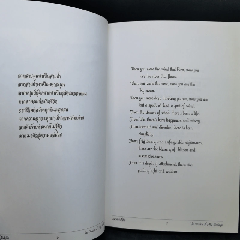 โลกที่ฉันรู้สึก - ดอกเข็มป่า รูปที่ 10