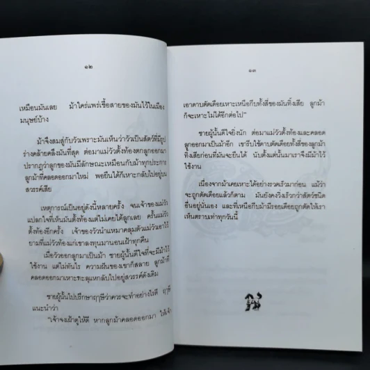กาลครั้งหนึ่งนานมา... นิทานไทย คุณตาคุณยายเล่าไว้ - ยุทธ เดชคำรณ รูปที่ 12