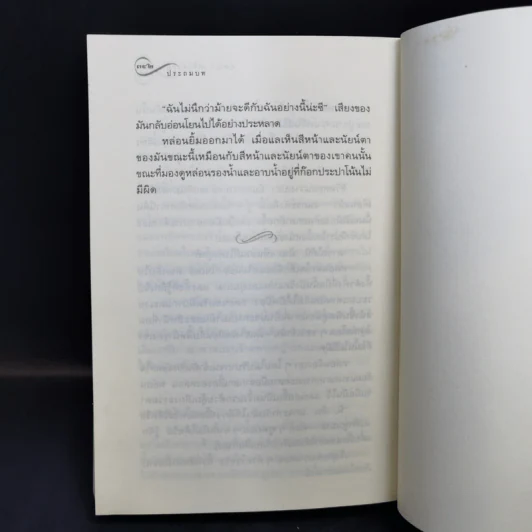 ช่อประยงคุ์ - อุษณา เพลิงธรรม รูปที่ 9