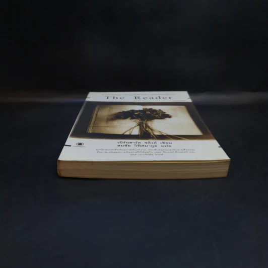 The Reader - เบิร์นฮาร์ด ชลิงค์ รูปที่ 4