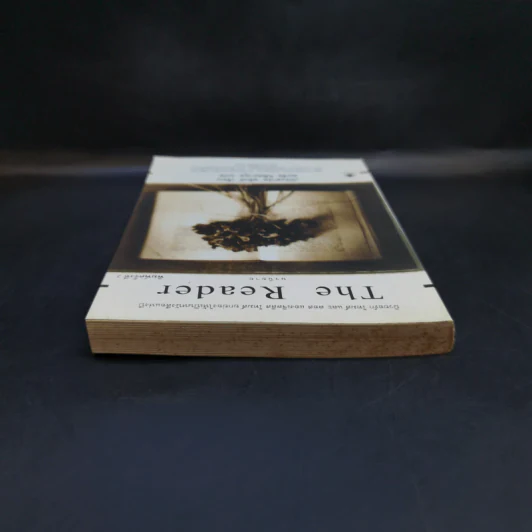The Reader - เบิร์นฮาร์ด ชลิงค์ รูปที่ 6