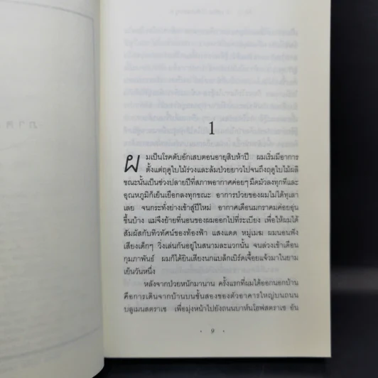 The Reader - เบิร์นฮาร์ด ชลิงค์ รูปที่ 11