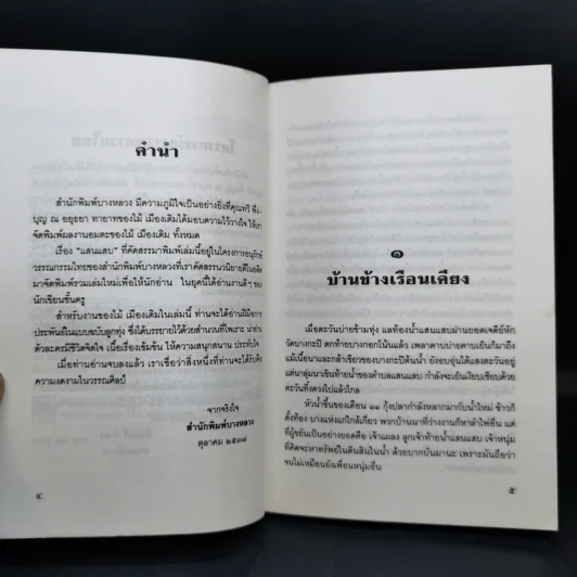 แสนแสบ - ไม้ เมืองเดิม รูปที่ 11