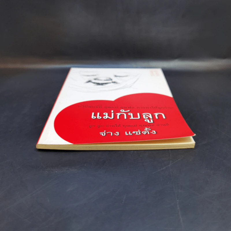 แม่กับลูก - จ่าง แซ่ตั้ง รูปที่ 4