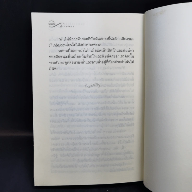 ช่อประยงคุ์ - อุษณา เพลิงธรรม รูปที่ 9