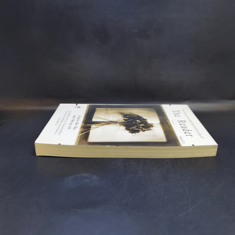 The Reader - เบิร์นฮาร์ด ชลิงค์ รูปที่ 5