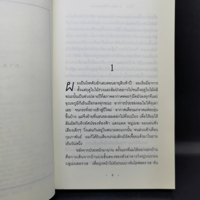 The Reader - เบิร์นฮาร์ด ชลิงค์ รูปที่ 11