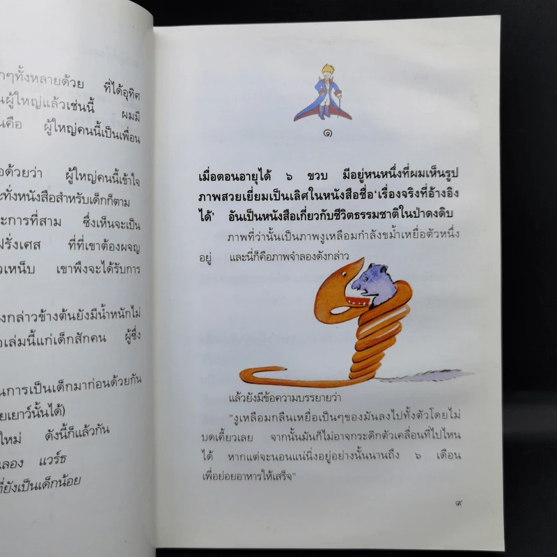 เจ้าชายน้อย - พงาพันธุ์ รูปที่ 10