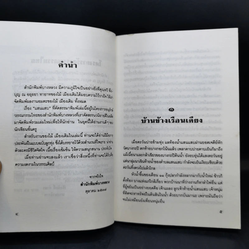 แสนแสบ - ไม้ เมืองเดิม รูปที่ 11