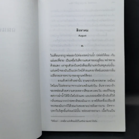 ถนนจระเข้ The Street of Crocodiles - บรูโน ชูลซ์ รูปที่ 11