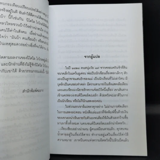 บันทึกของคนบ้า The Diary of a Madman - นิโคไล โกโกล รูปที่ 9