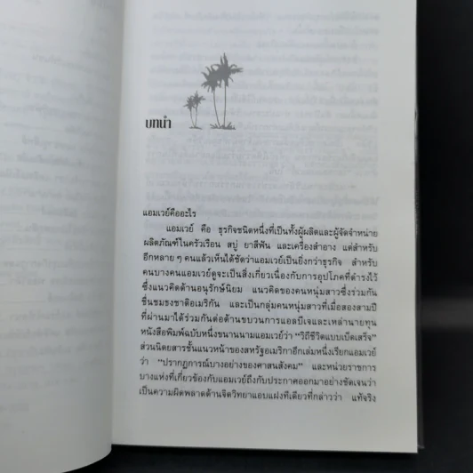 สู่ฝันอันยิ่งใหญ่ -  ชาร์ลส พอล คอนน์ รูปที่ 11