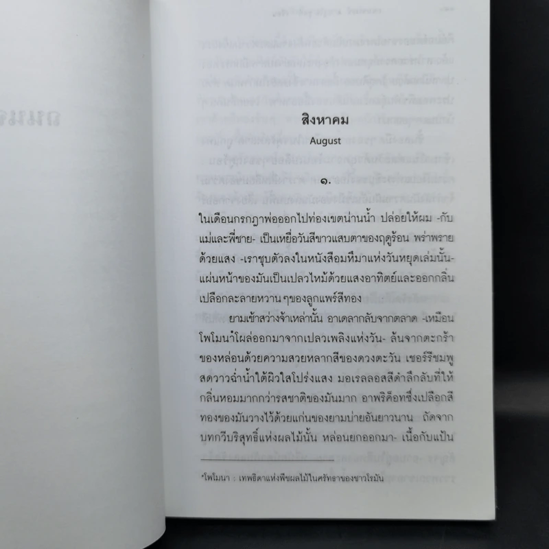 ถนนจระเข้ The Street of Crocodiles - บรูโน ชูลซ์ รูปที่ 11