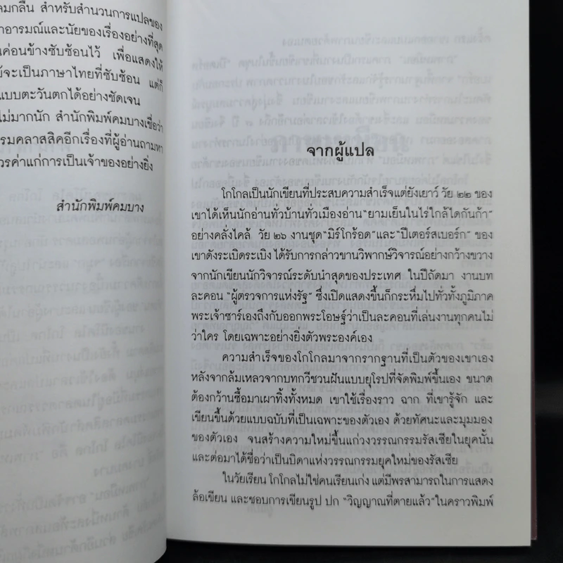 ภาพเหมือน The Portrait - นิโคไล โกโกล รูปที่ 9