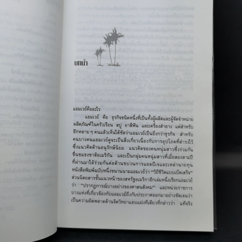 สู่ฝันอันยิ่งใหญ่ -  ชาร์ลส พอล คอนน์ รูปที่ 11
