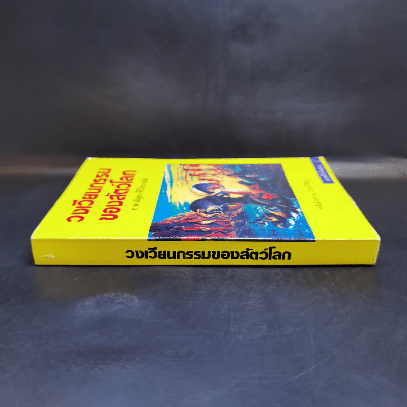 วงเวียนกรรมของสัตว์โลก - ท.พ.บัญชา ศิริไกร แปล รูปที่ 3