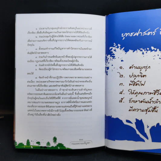 80 พรรษา มหาราชินี - มณีบูรพา รูปที่ 12