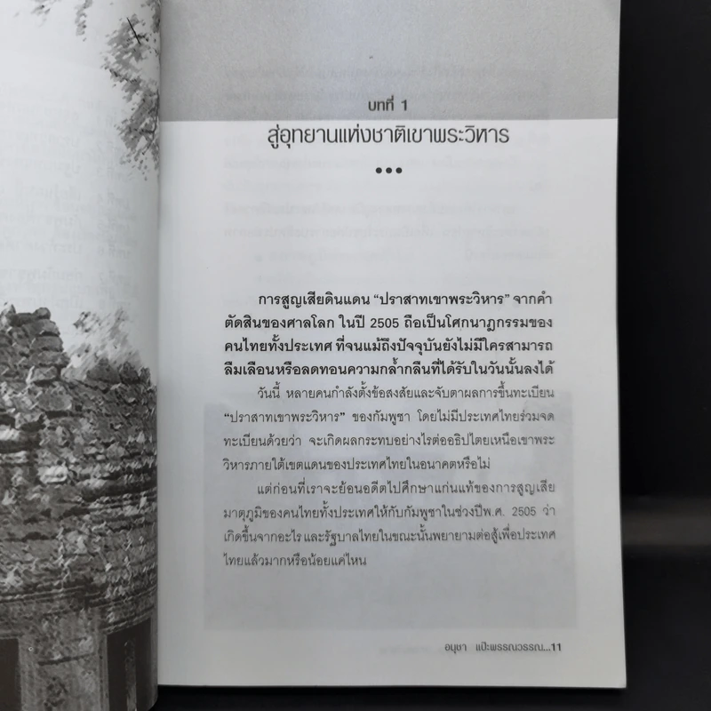 การเมืองเรื่องเขาพระวิหาร - อนุชา แป๊ะพรรณวรรณ รูปที่ 12