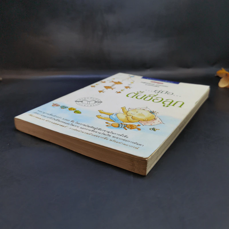 คู่มือตั้งชื่อลูก - เสฐียรพงษ์ วรรณปก รูปที่ 7