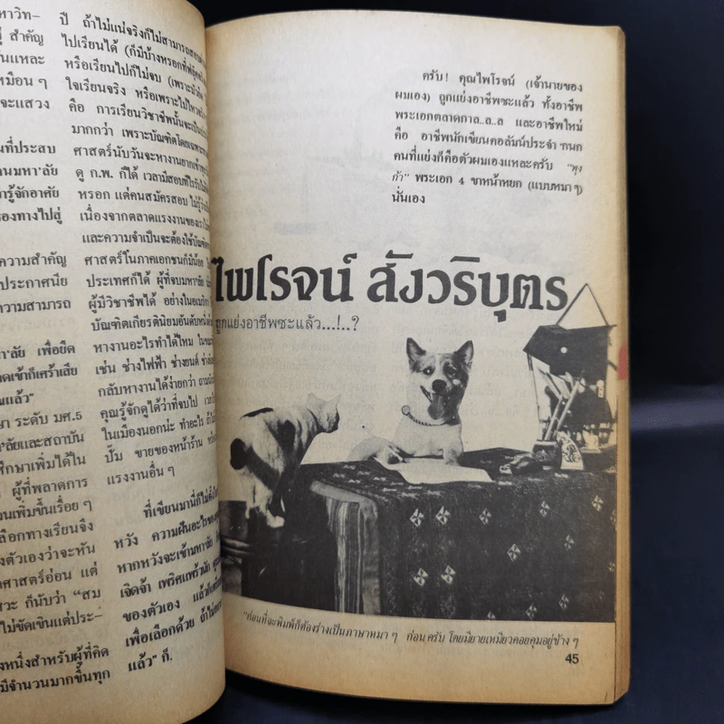 กนก Pocket Magazine for Teens รูปที่ 10