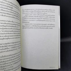พิษทักษิณ - ภิญโญ ไตรสุริยธรรมา รูปที่ 13