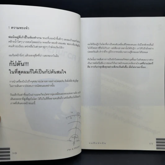I'm a Pilot ผมคือนักบิน - Flamingo รูปที่ 12