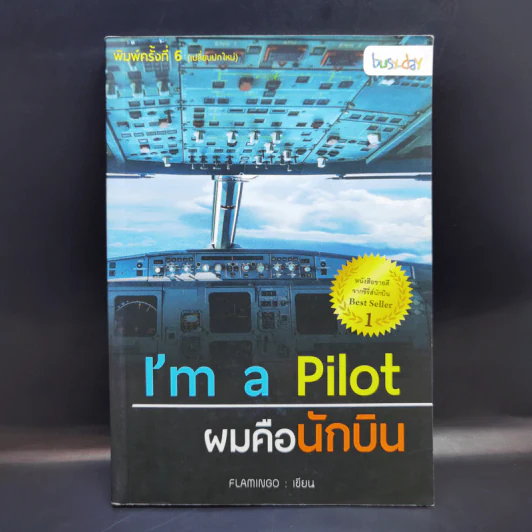 I'm a Pilot ผมคือนักบิน - Flamingo รูปที่ 1